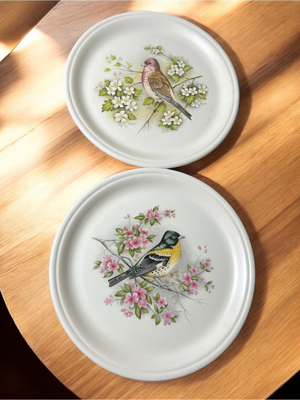 Vintage Barratts Staffordshire Songbirds Plates Set of 2 | Made in England